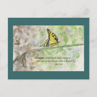 Metamorfose _1 briefkaart