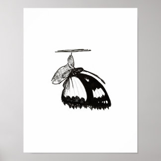 Metamorfose Poster