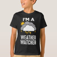 Meteoroloog Weatherman Meteorology