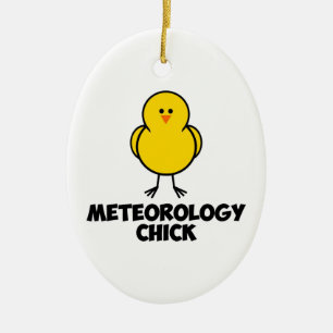 Meterologie CHick Keramisch Ornament