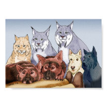 Metgezellen - gekleurd