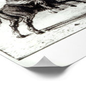 Methoden voor het gooien van de lasso en de Bolas Poster (Hoek)