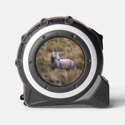 Mètre Ruban Beau cheval gris (Recto)