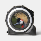 Mètre Ruban Grue à couronne noire (Recto)