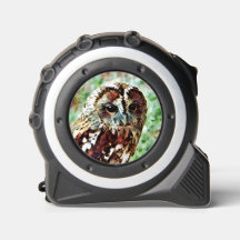 HIBOU