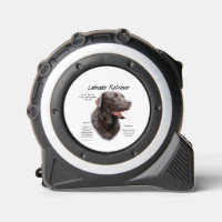 Labrador Retriever (chocolat) Histoire Conception