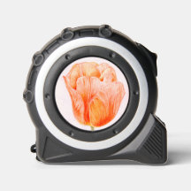 Peach Tulip