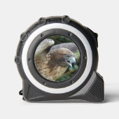 Mètre Ruban Photo Raptor Hawk à queue rouge (Recto)