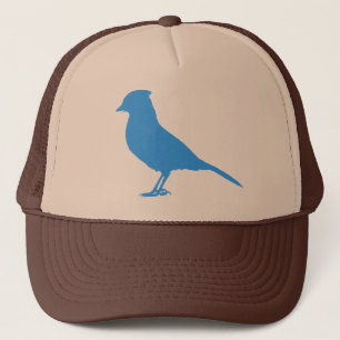 Mettez un oiseau là-dessus - casquette de geai