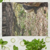 Mettez votre bébé sur une serviette de main de (Plié)