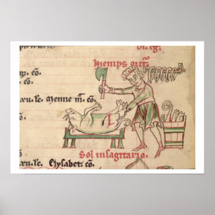 Mevrouw 54. f.6 november: Het doden van de Varken, Poster