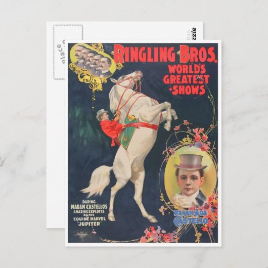 Mevrouw Ada Castello Briefkaart (Voorkant / Achterkant)