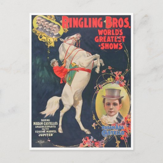 Mevrouw Ada Castello Briefkaart (Voorkant)