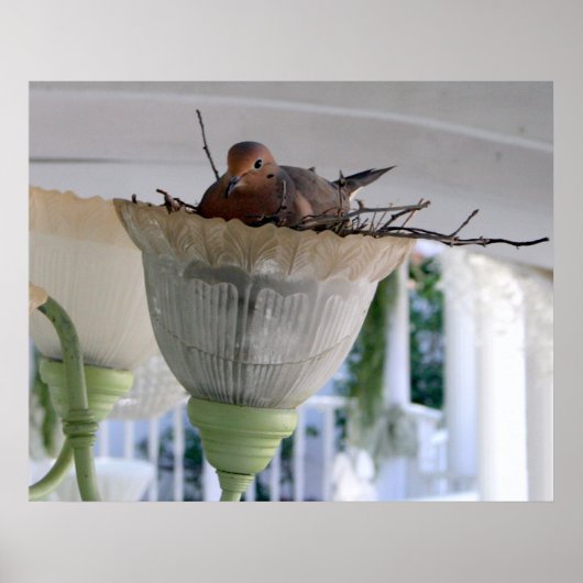 Mevrouw Dove Poster (Voorkant)