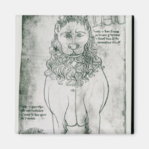 Mevrouw Fr 19093 fol.24v Lion en Porcupine Magneet