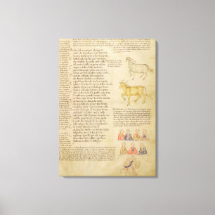 mevrouw Italien 87 fol.171 Pagina ter illustratie Canvas Afdruk