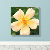 Mevrouw Oakley Fisher Roos Canvas Afdruk (Insitu (Houten vloer))