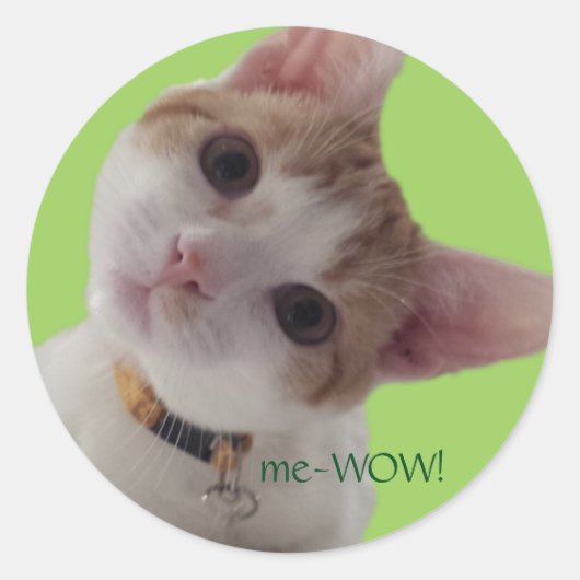meWOW Nieuwsgierig Kat Goed Werk Sticker (Voorkant)