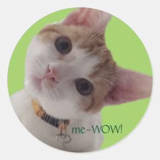 meWOW Nieuwsgierig Kat Goed Werk  Sticker