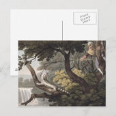 Mexicaan Lizard Catcher, gegraveerd door Matthew D Briefkaart (Voorkant / Achterkant)