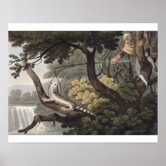 Mexicaan Lizard Catcher, gegraveerd door Matthew D Poster (Voorkant)