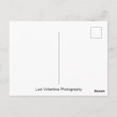 Mexicaans Bamboo Briefkaart (Achterkant)