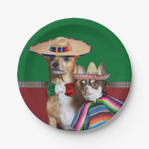 Mexicaans chihuahua bord
