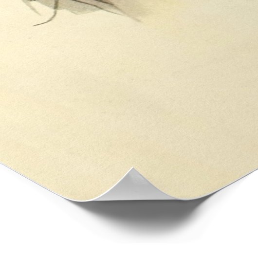 Mexicaans meisje - kunst poster (Hoek)