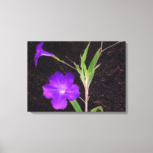 Mexicaans Petunia Paars Canvas Afdruk (Voorkant)