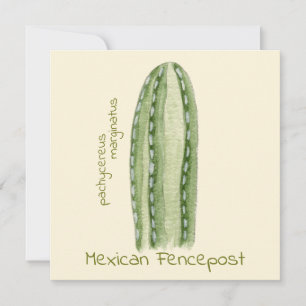 Mexicaans wenskaart Fencepost cactus Kaart