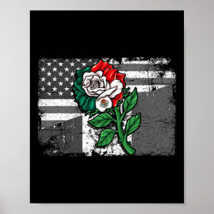 Mexicaanse Amerikaanse vlag Mexicaanse vlag Amerik Poster