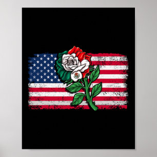 Mexicaanse Amerikaanse vlag Mexicaanse vlag Amerik Poster