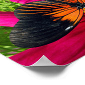 Mexicaanse asterbloem met een Doris Longwing  Poster (Hoek)