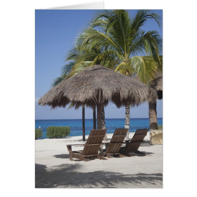 Mexicaanse Beach Paradise (Voorkant)