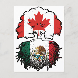Mexicaanse Canadese vlag voor boomstammen in Canad Briefkaart