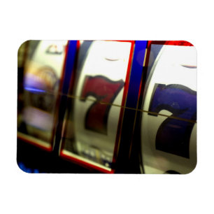 Mexicaanse cruise. Princess Cruises Dawn Princess  Magneet