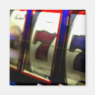 Mexicaanse cruise. Princess Cruises Dawn Princess  Magneet