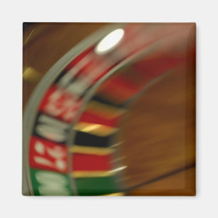 Mexicaanse cruise. Princess Cruises Dawn Princess Magneet