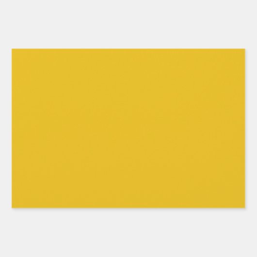 Mexicaanse folk patroon vogel bloemenverpakking inpakpapier vel (Voorkant 2)