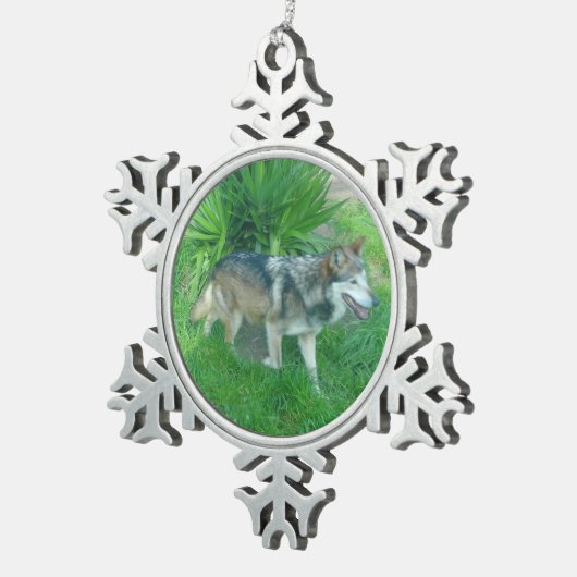 Mexicaanse grijze wolf #1 Snowflake Ornament (Rechts)