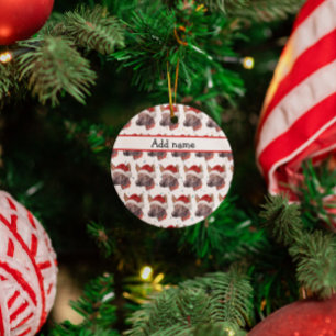 Mexicaanse Naakthond Ras Kerststerren Keramisch Ornament