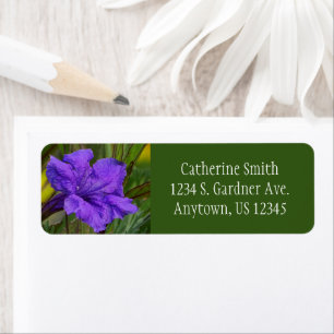 Mexicaanse Petunia Bloem / Blauw Violet & Groen / Etiket