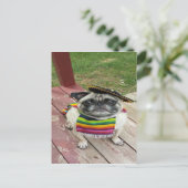 Mexicaanse Pug Briefkaart (Staand voorkant)