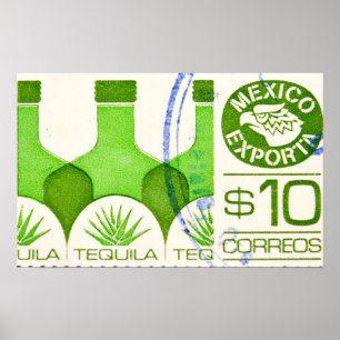 Mexicaanse reisposter Tequila Cactus Poster