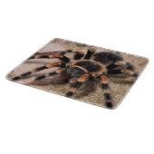 Mexicaanse rode knie Tarantula Spider Snijplank (Hoek)