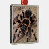 Mexicaanse rode knie Tarantula spin Metalen Ornament (Rechts)