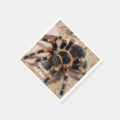 Mexicaanse rode knie Tarantula spin Servet (Hoek)