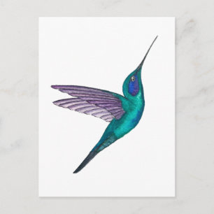 Mexicaanse Violet-oorkolibrie Briefkaart