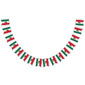 Mexicaanse vlag en Mexicaanse banners en bruilofte (Alle)