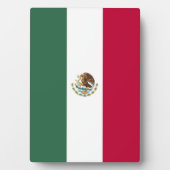 Mexicaanse vlag fotoplaat (voorkant)